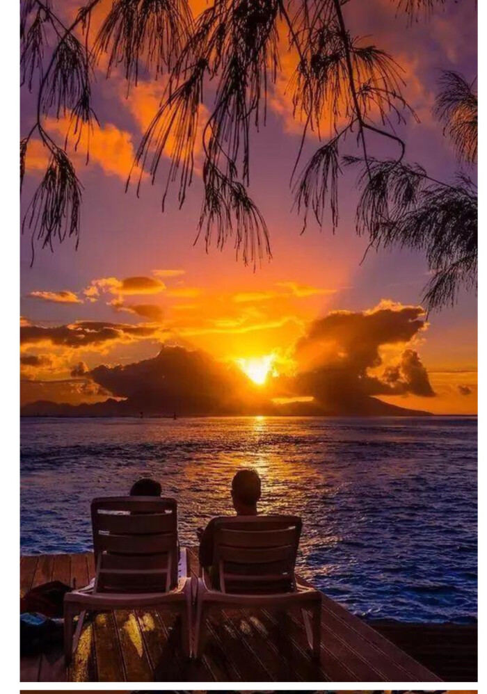 最美不过夕阳红