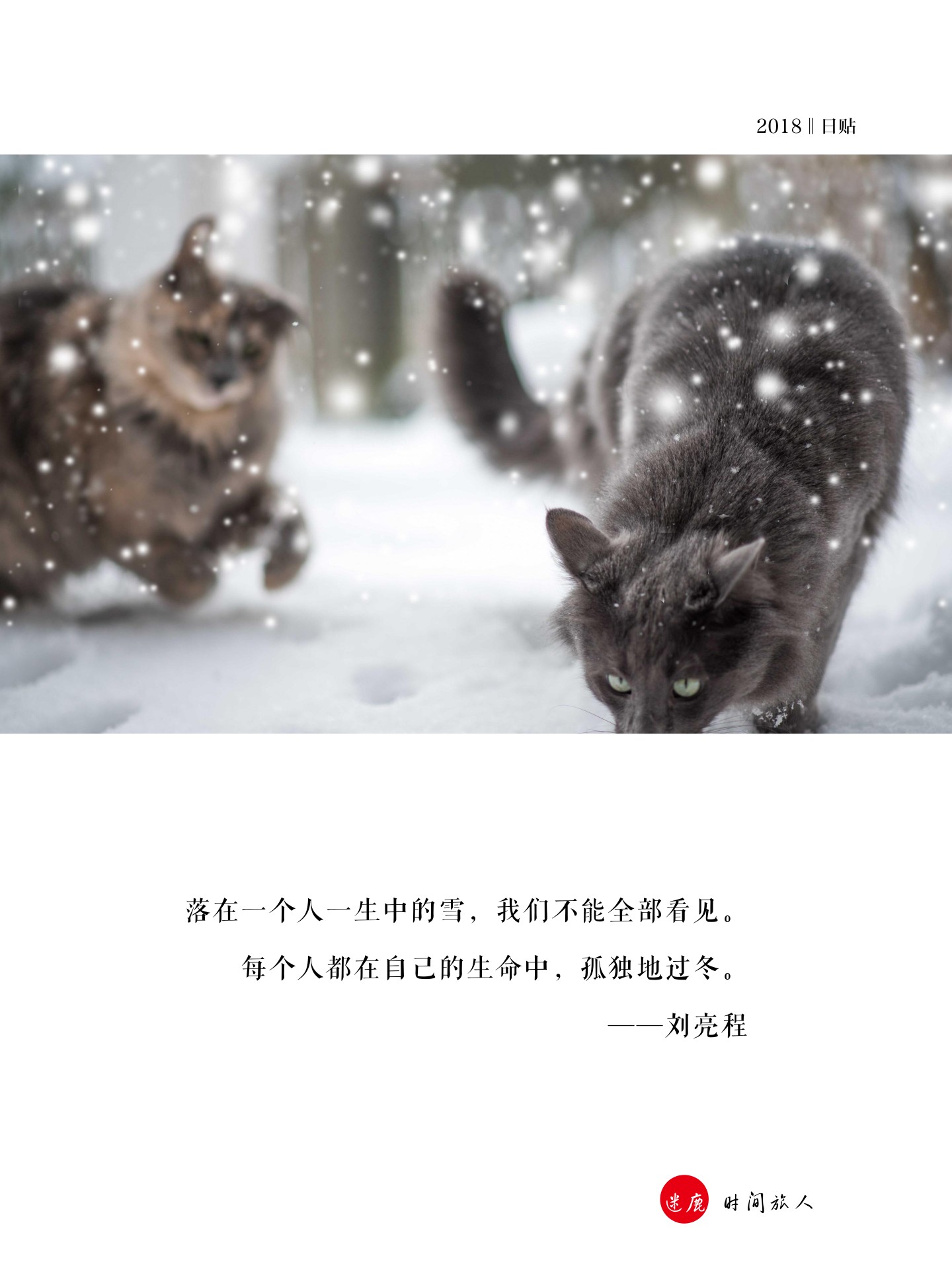2日贴落在一个人一生中的雪,我们不能全部看见.
