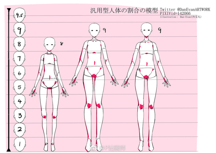 通用型女性2-9头人体的比例~p站画师:dan·evan,pi