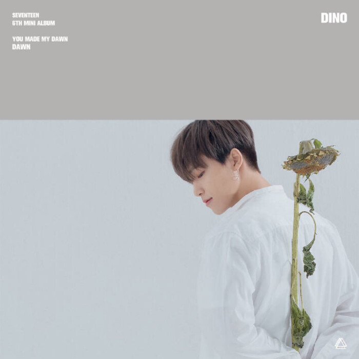 seventeen dino 李灿