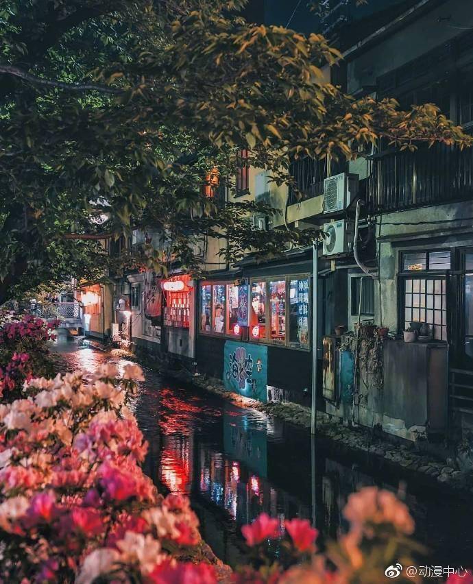 日本.东京.京都.樱花