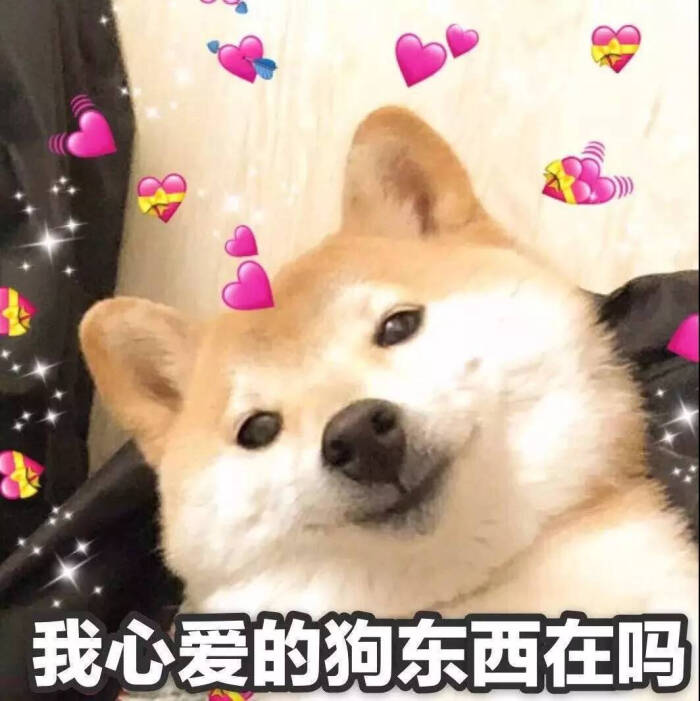 猫咪狗狗老鼠鸭子表情包可爱蠢萌套路小表情大表情打电话表情包小猪