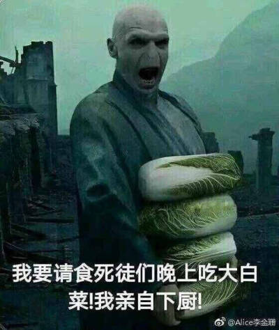 霍格沃茨永不毕业.